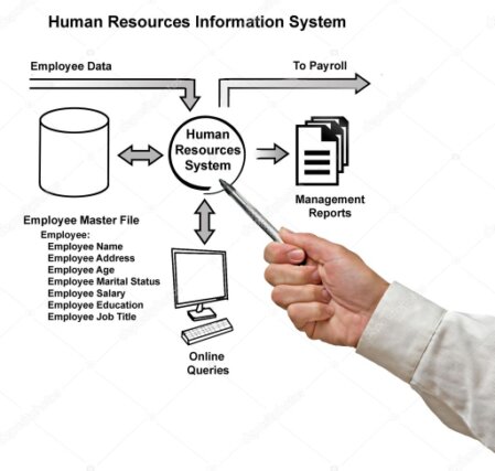 Coordination paie et contrôles DSN